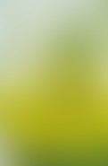 Lemon and herb salad dressing