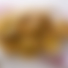 Mustard Yorkies