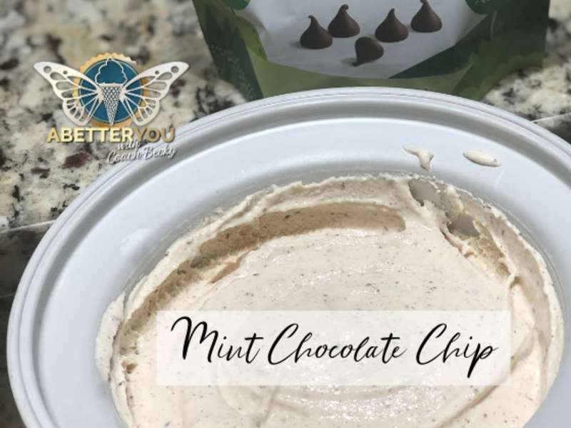 Mint Chocolate Chip Ice Cream Recipe - Whisk