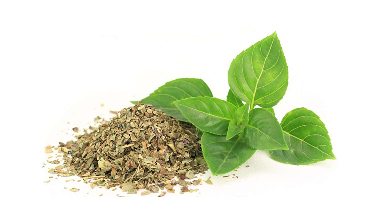 dried-thai-basil-whisk