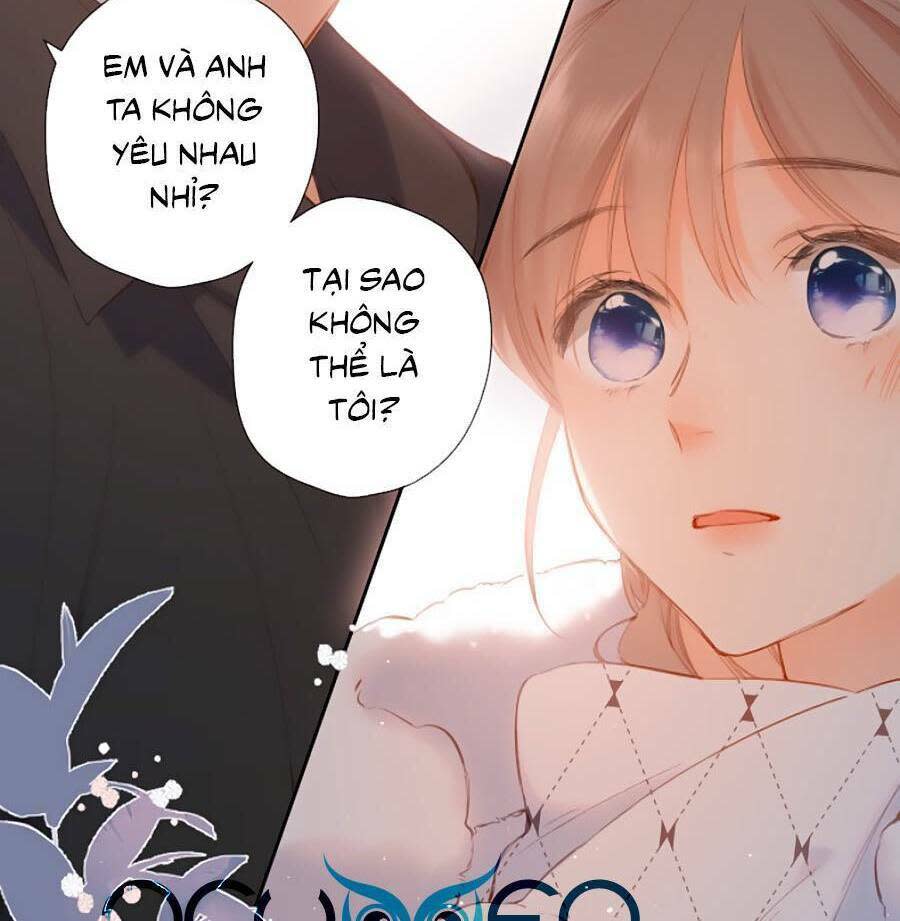 lại gặp được em chapter 122 - Trang 2