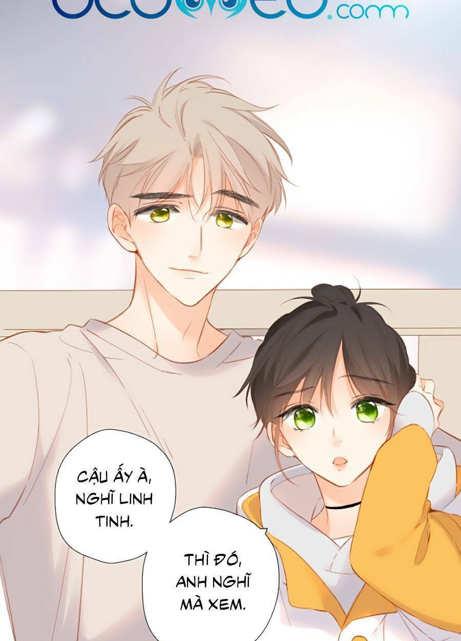 lại gặp được em chapter 122 - Trang 2