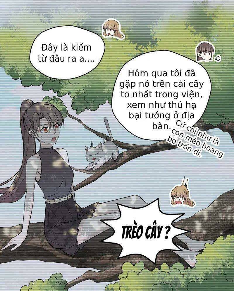 Thiên Kim Bất Lương Chapter 41 - Next Chapter 42