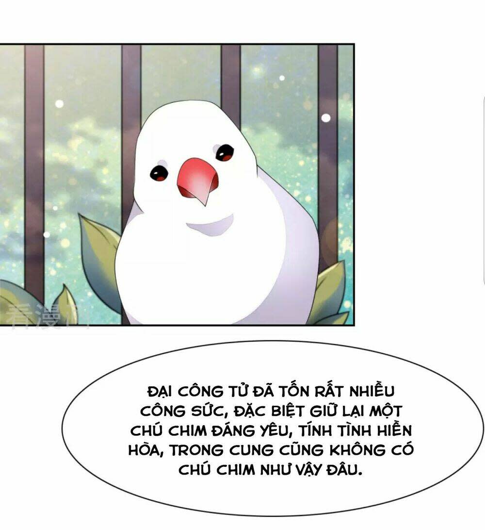 Xuyên Về Cổ Đại Làm Quốc Bảo Chapter 48 - Trang 2