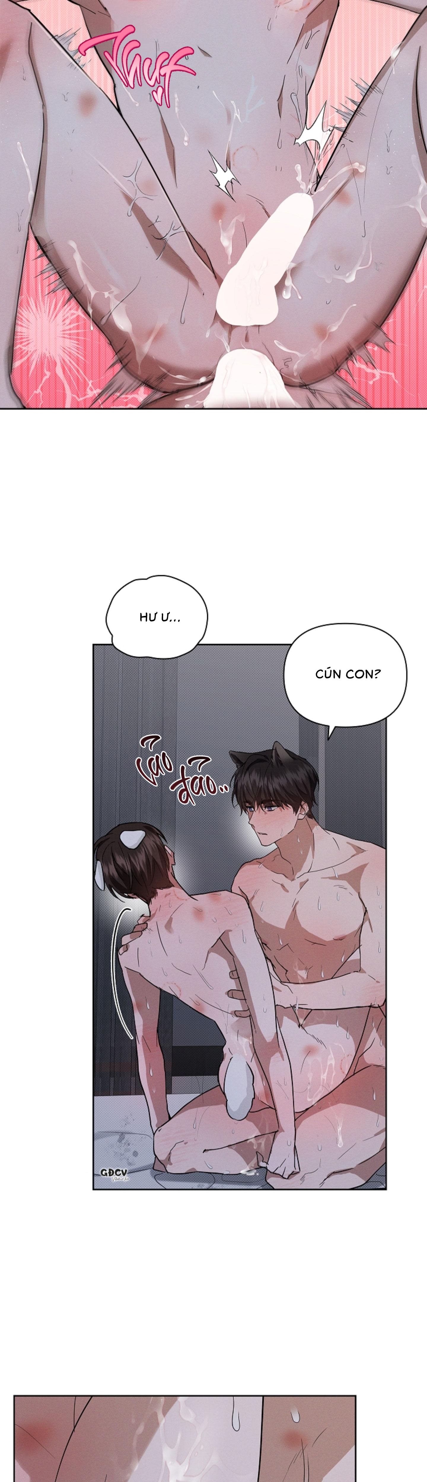 ĐỪNG CHẠM VÀO CÚN CON CỦA TÔI Chapter 26 18++ - Next Chapter 27