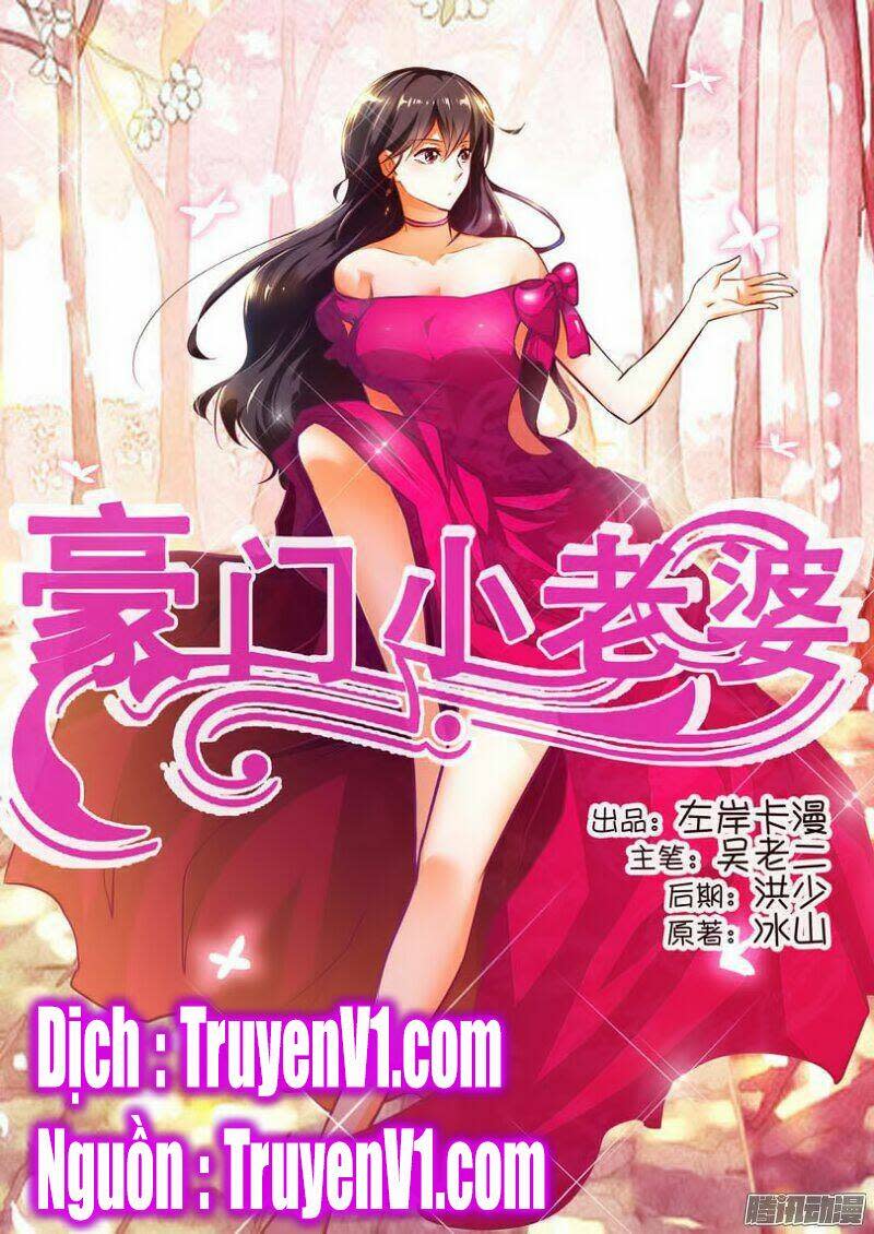 Hào Môn Tiểu Lão Bà Chapter 17 - Next Chapter 18