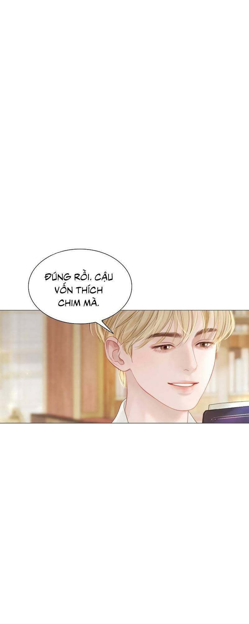 khóc đi, hay cầu xin tôi cũng được chapter 8 - Next Chapter 9