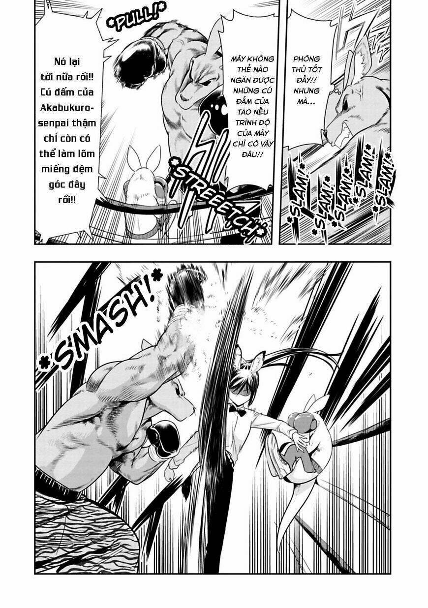 murenase! shiiton gakuen chapter 31: chuột túi boxing (phần 4) - Trang 2