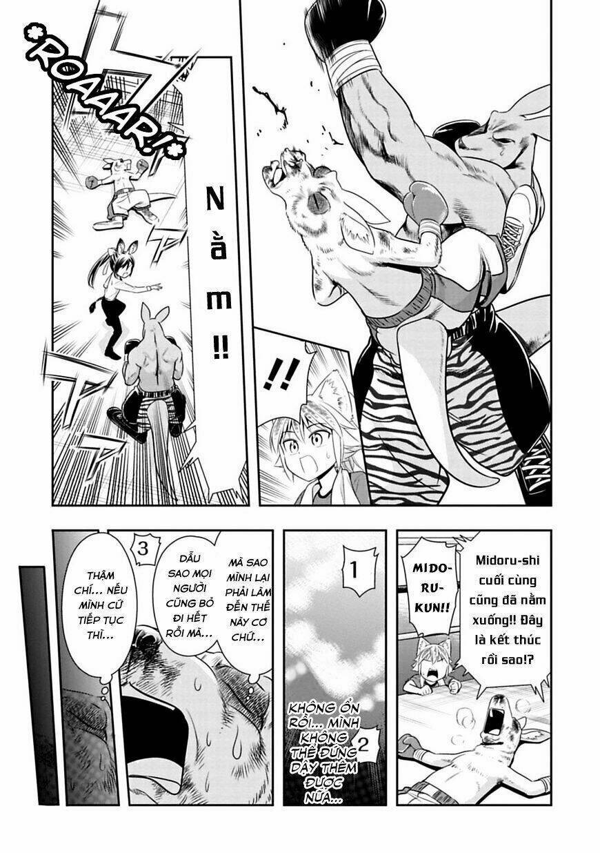 murenase! shiiton gakuen chapter 31: chuột túi boxing (phần 4) - Trang 2