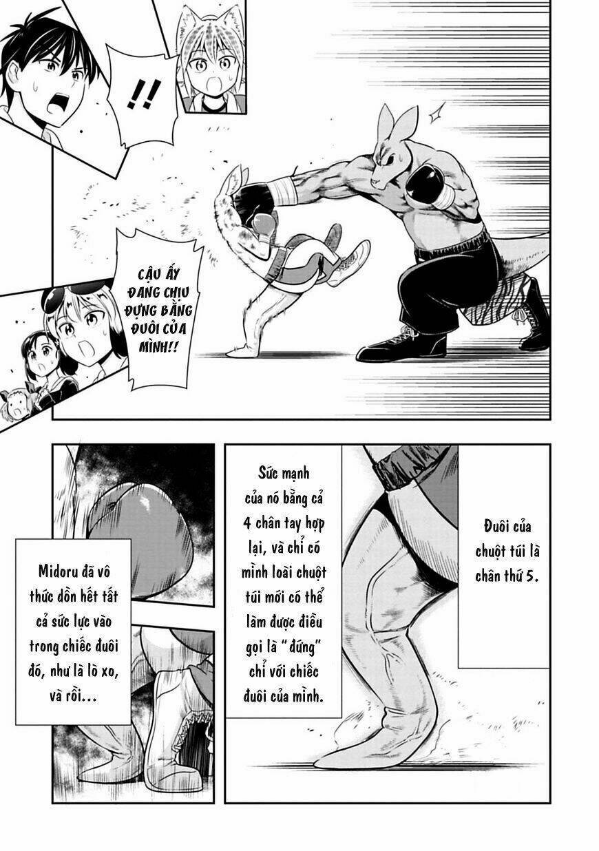 murenase! shiiton gakuen chapter 31: chuột túi boxing (phần 4) - Trang 2