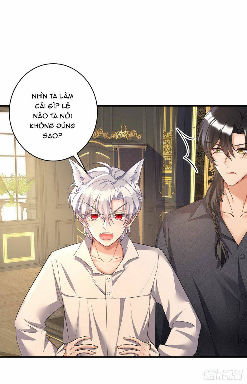 dẫn sói vào phòng chapter 117 - Trang 2