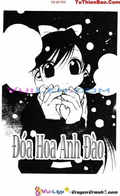 Đóa Hoa Anh Đào Chapter 5 - Next Chapter 6