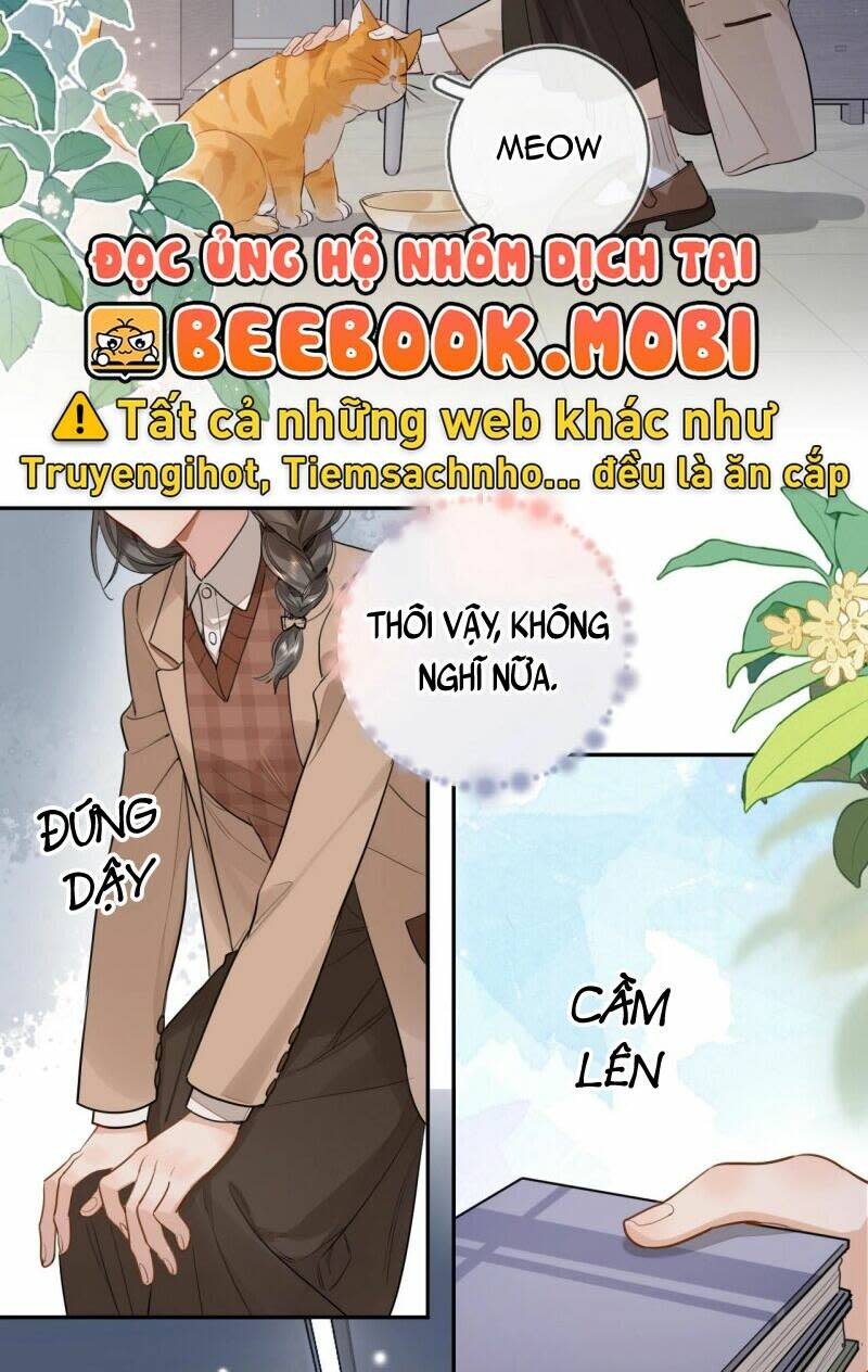 tỏ tình chapter 18 - Next Chapter 18