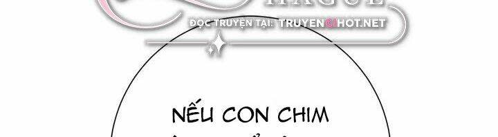 Công Chúa Của Loài Chim Chapter 51.1 - Trang 2