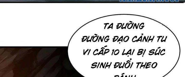 ta chỉ muốn bị các vị đánh chết chapter 69 - Next Chapter 69