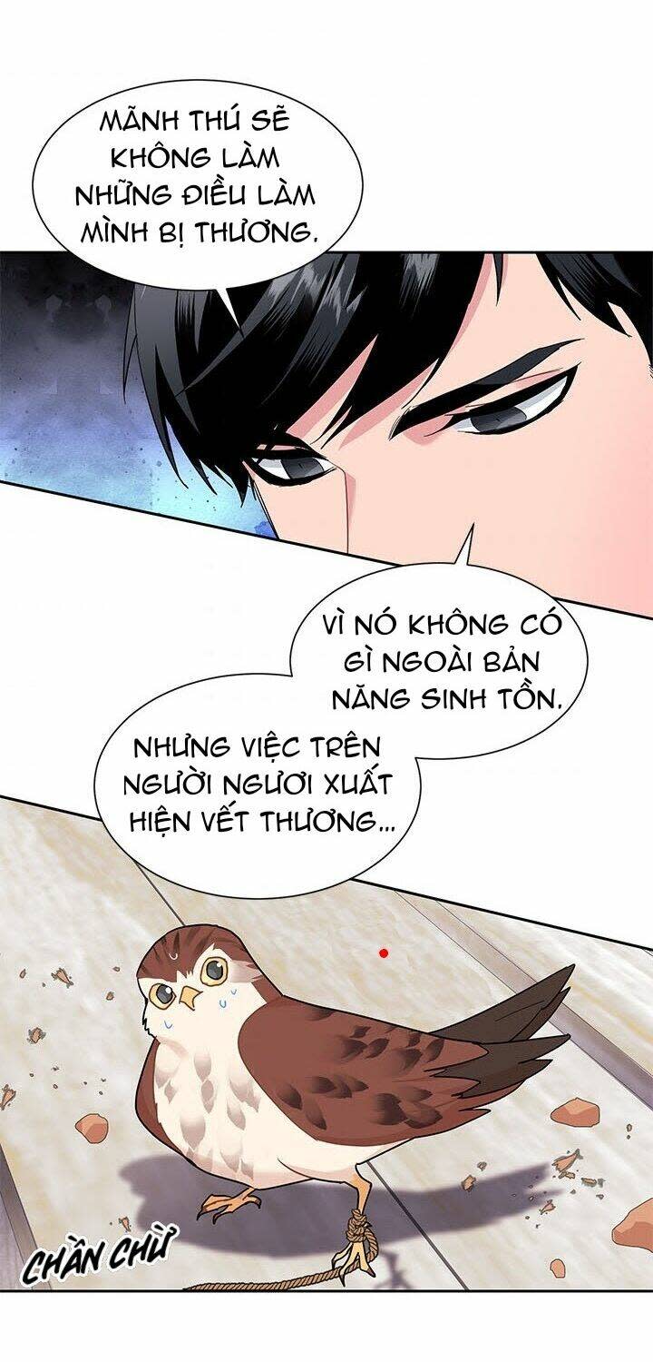 Công Chúa Của Loài Chim Chapter 9 - Trang 2