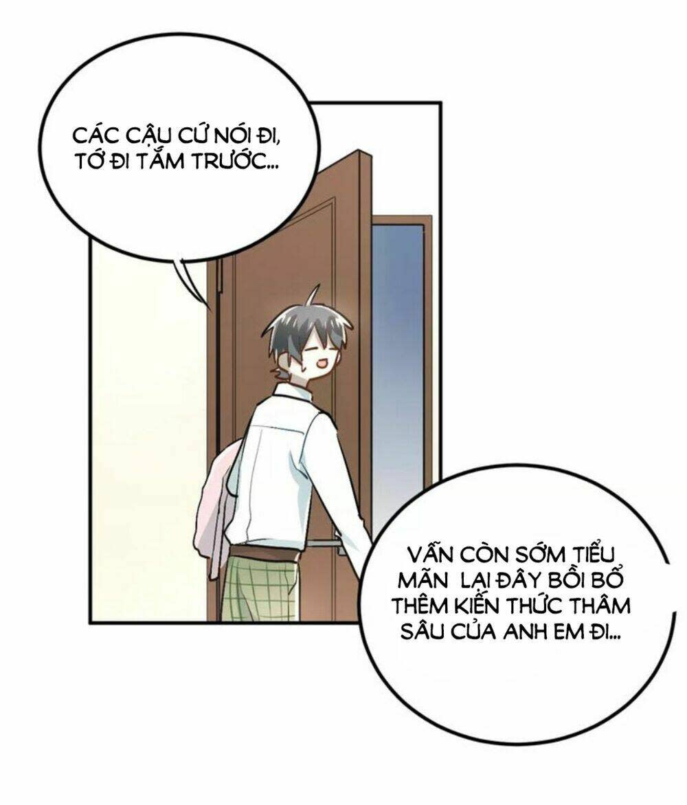 Đầu Gấu Biết Yêu Chapter 41 - Trang 2