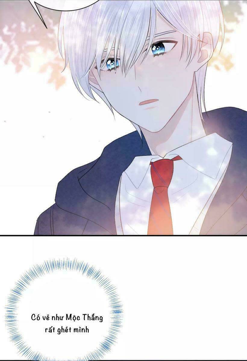 Từ Cái Nhìn Của Em Chapter 24 - Trang 2