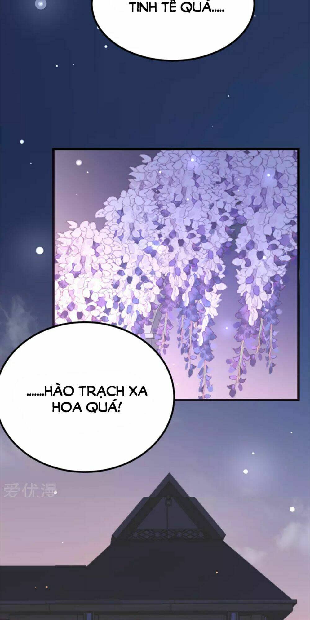 Cô Nàng Trọng Sinh Yêu Mãnh Liệt Chapter 8 - Next 