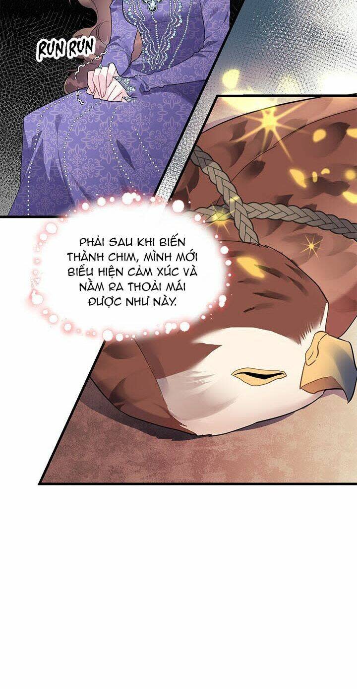 Công Chúa Của Loài Chim Chapter 4 - Trang 2