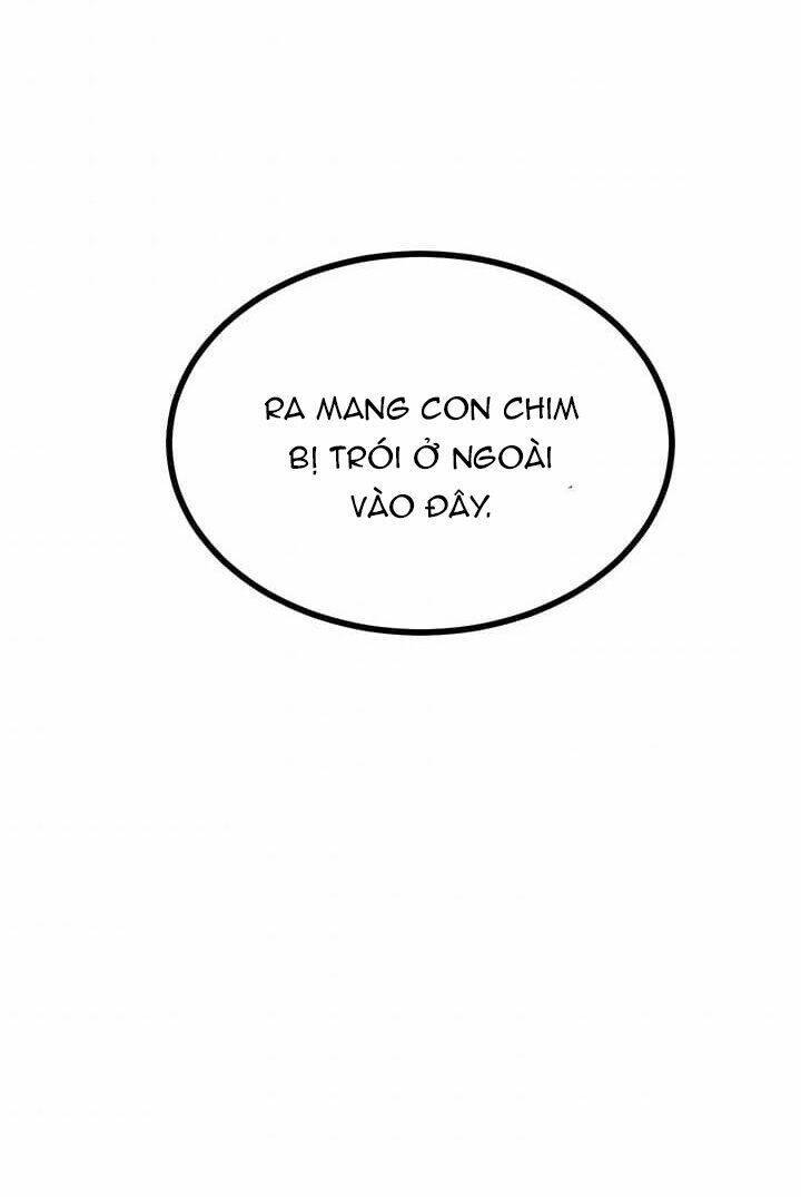 Công Chúa Của Loài Chim Chapter 4 - Trang 2