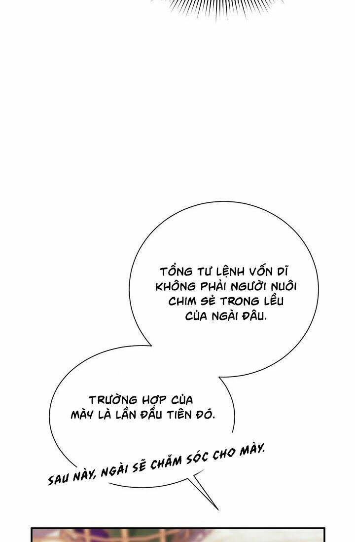 Công Chúa Của Loài Chim Chapter 20 - Trang 2