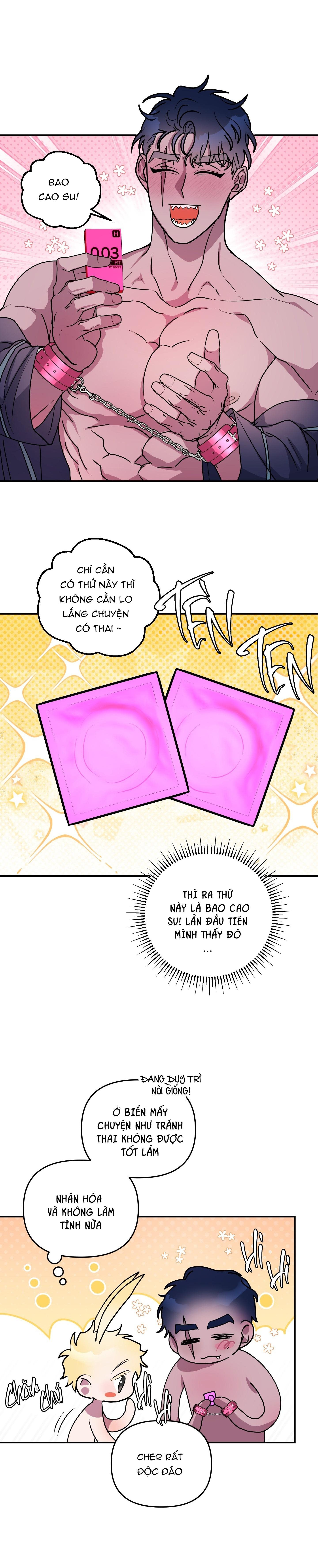 cá mập và cô dâu thỏ Chapter 50 - Trang 2