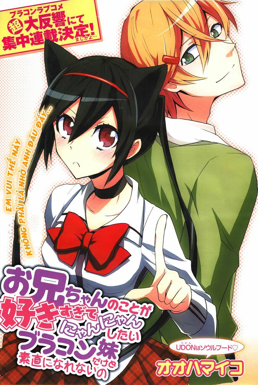 Oniichan no Koto ga Suki Sugite Nyan Nyan Shitai Burakon Imouto dakedo Sunao ni Narenai no Chapter 1: One shot - Next Chapter 2