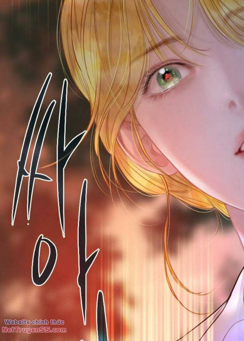 khóc đi, hay cầu xin tôi cũng được Chapter 24 - Next Chapter 25