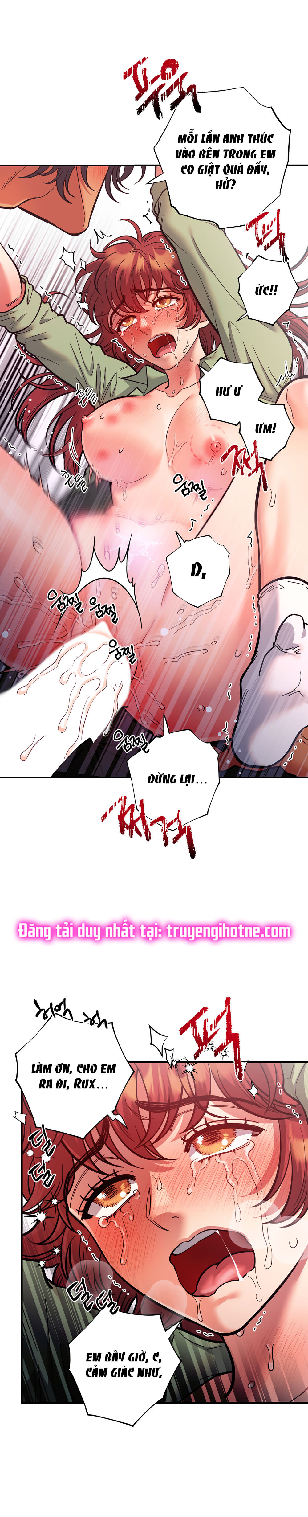 [18+] Một Lòng Một Dạ 2 Chap 64.1 - Trang 2