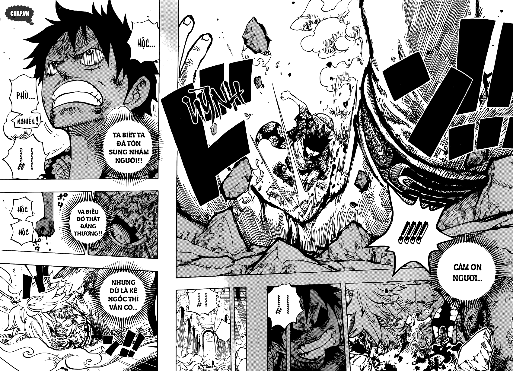 One Piece Chapter 779 - Trang 2