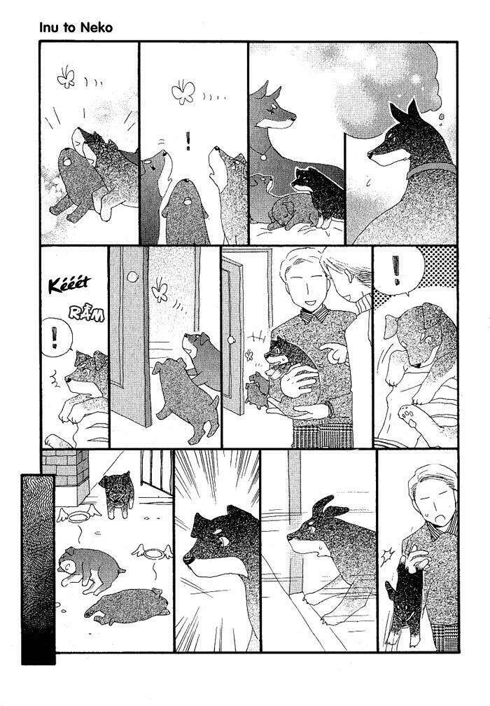 Inu To Neko Chapter 4 - Trang 2