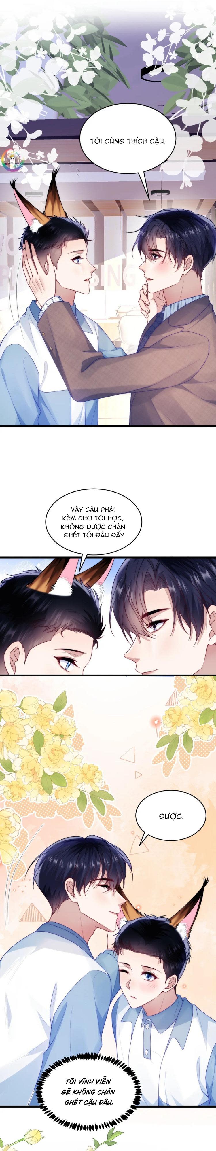 Mèo Hoang Nhỏ Của Học Bá Quá Trêu Người (END) Chapter 81 - Trang 2