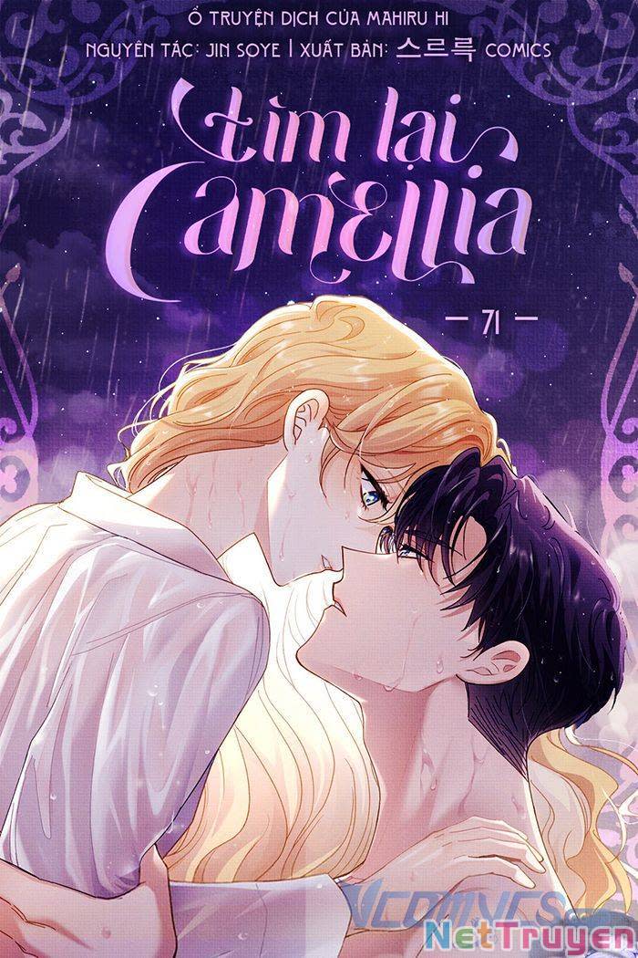 Đi Tìm Nàng Camellia Chap 71 - Trang 2