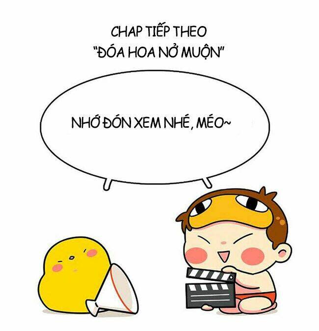 Nếu Lịch Sử Là Một Bầy Mèo Chapter 14 - Next Chapter 15