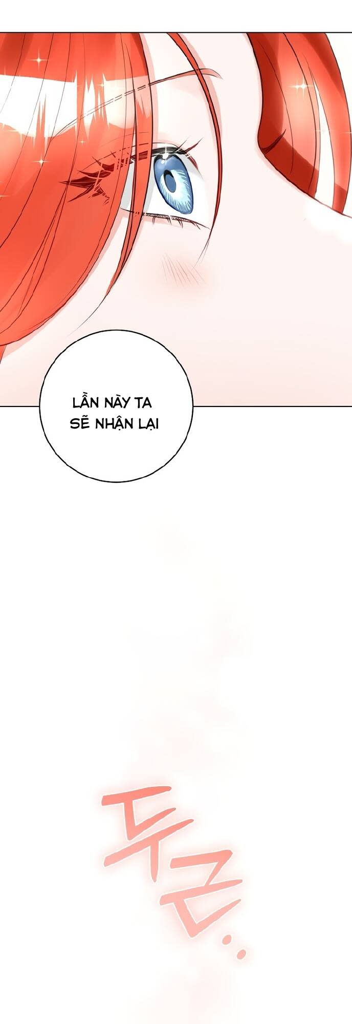 cuộc hôn nhân xa hoa của đại công tước là giả chapter 29 - Next chapter 30