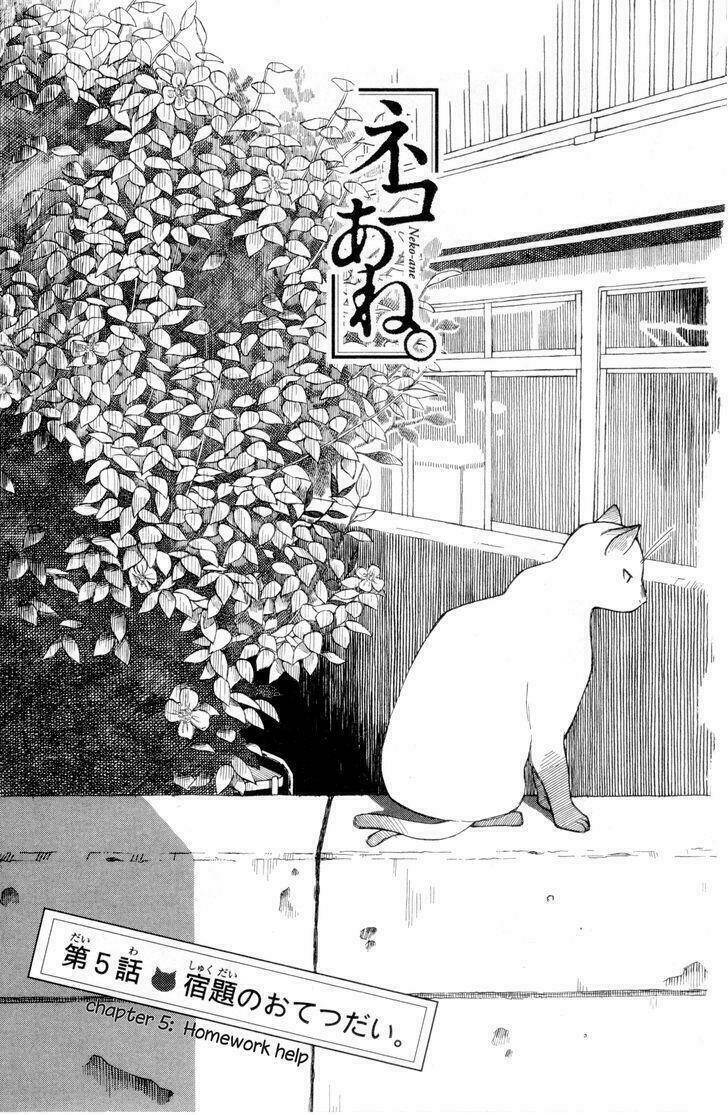 Neko Ane Chapter 5 - Trang 2