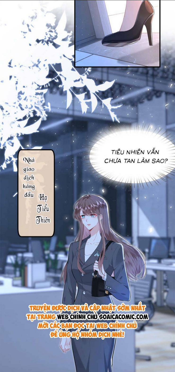 đại boss thần bí lại chiều hư vợ chapter 2 - Next chapter 3