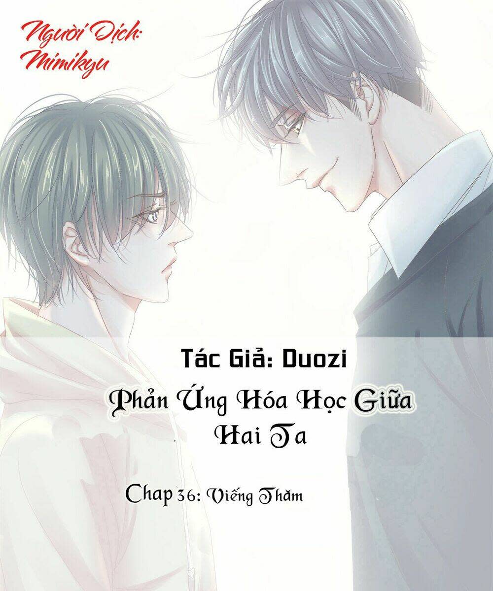 Phản Ứng Hóa Học Giữa Hai Ta Chapter 36 - Next 