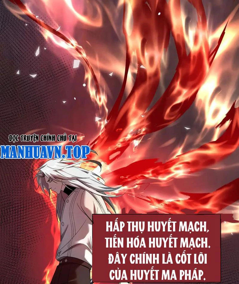 Cái Bóng Phản Bội Của Gia Tộc Chapter 28 - Next Chapter 28