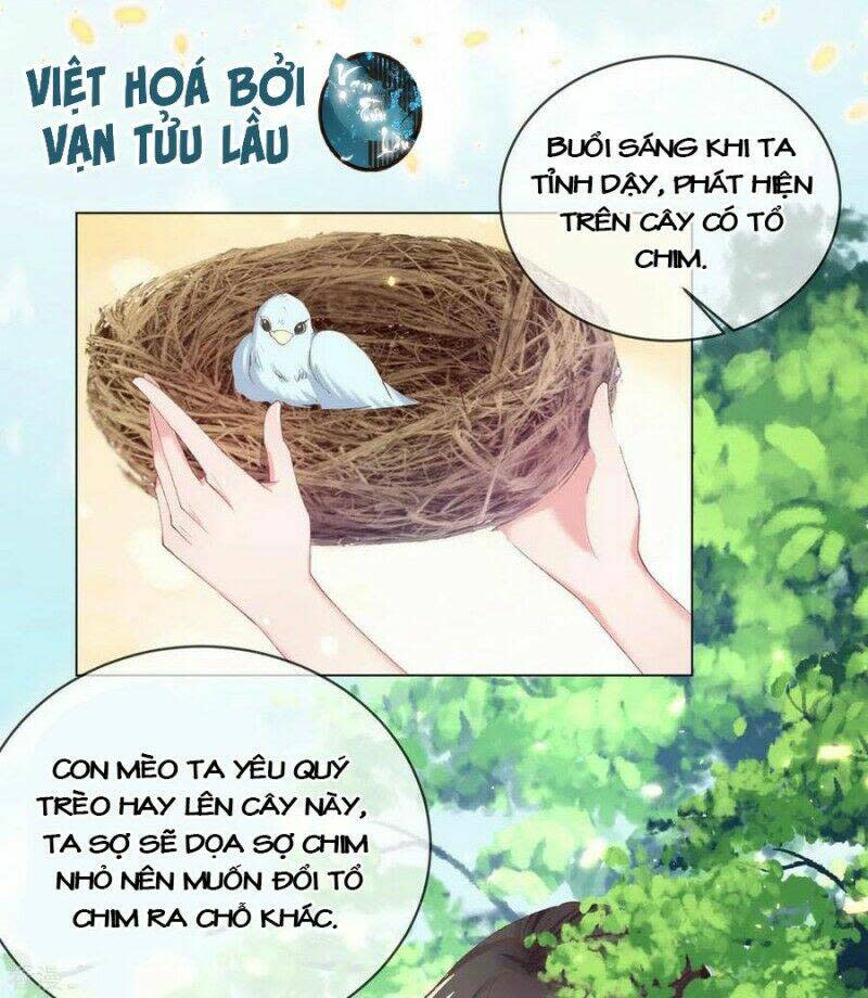 thị huyết y phi chapter 82 - Next chapter 83