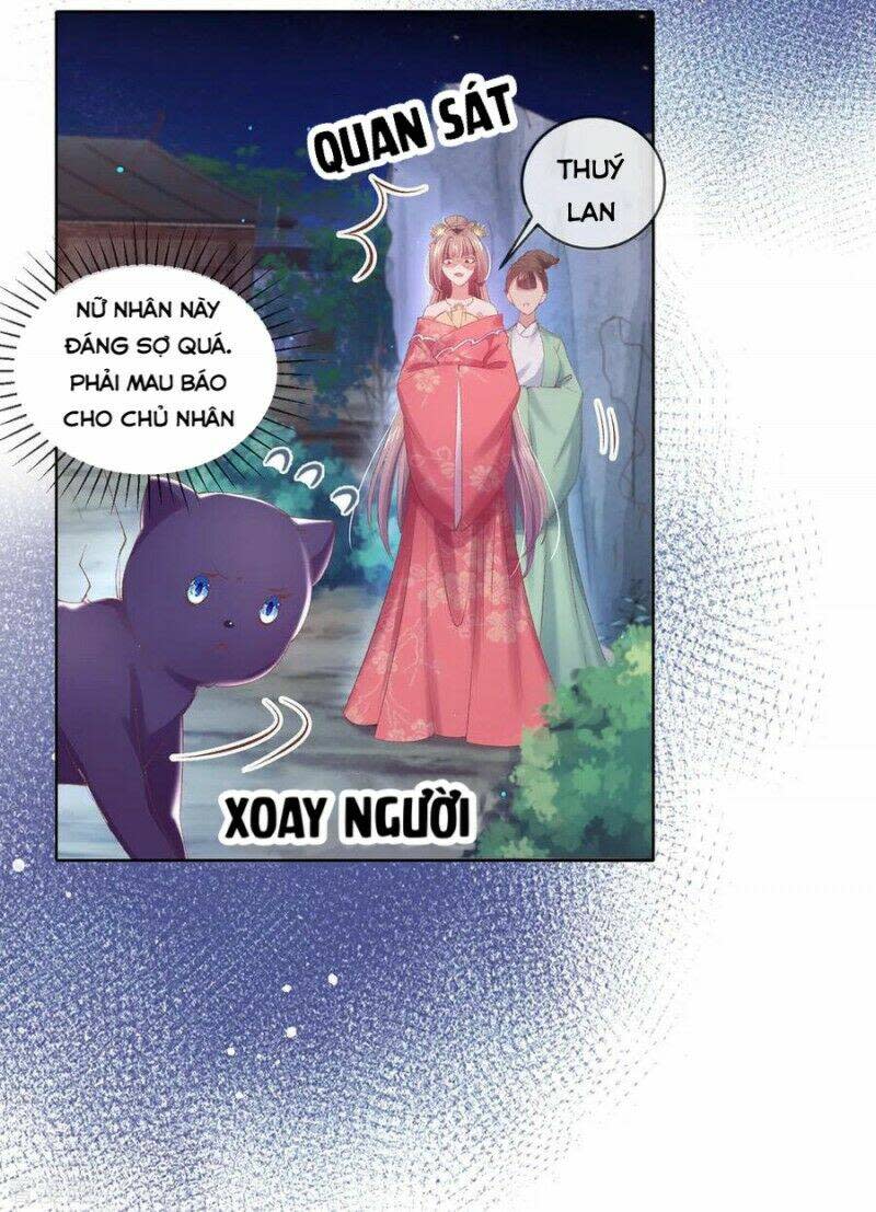 thị huyết y phi chapter 81 - Next chapter 82