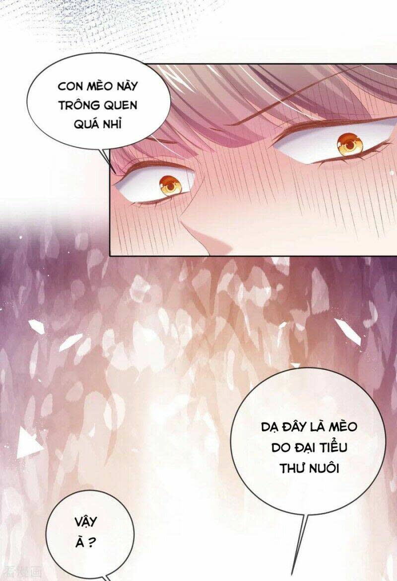 thị huyết y phi chapter 81 - Next chapter 82