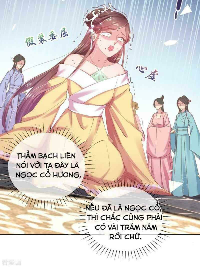 thị huyết y phi chapter 60 - Next chapter 61