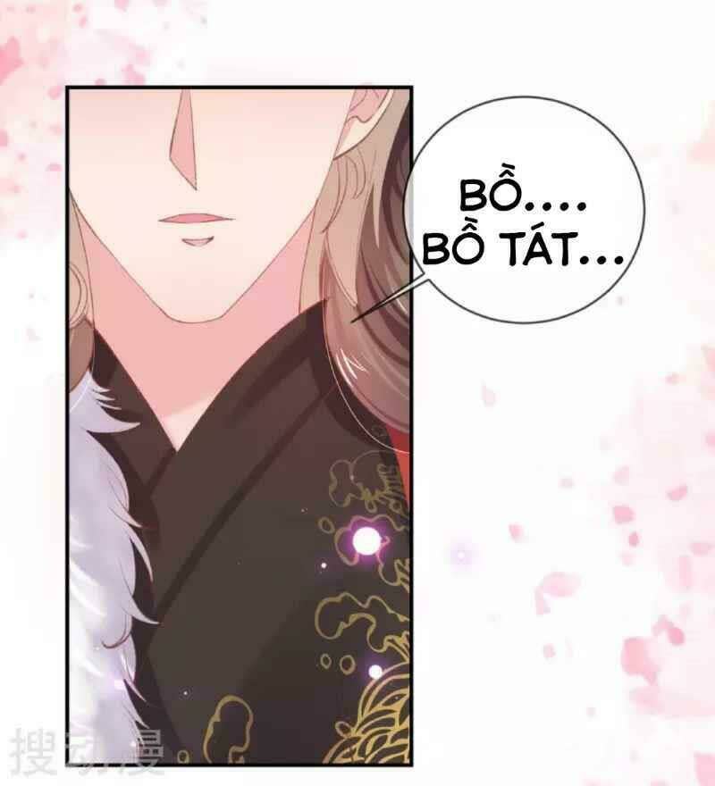 thị huyết y phi chapter 39 - Next chapter 40