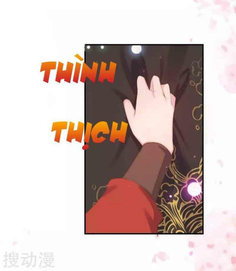 thị huyết y phi chapter 39 - Next chapter 40