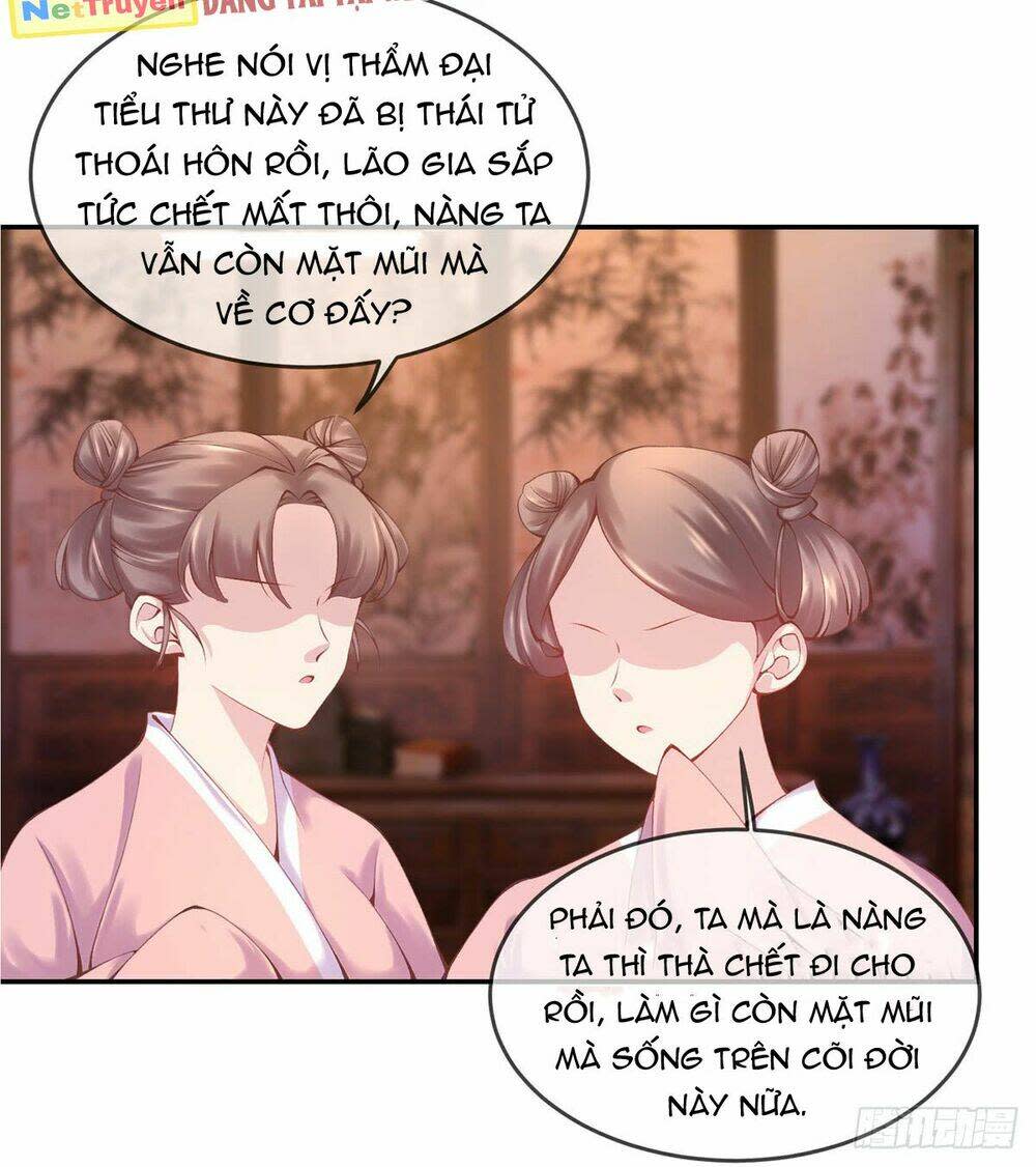 thị huyết y phi chapter 6 - Next chapter 7