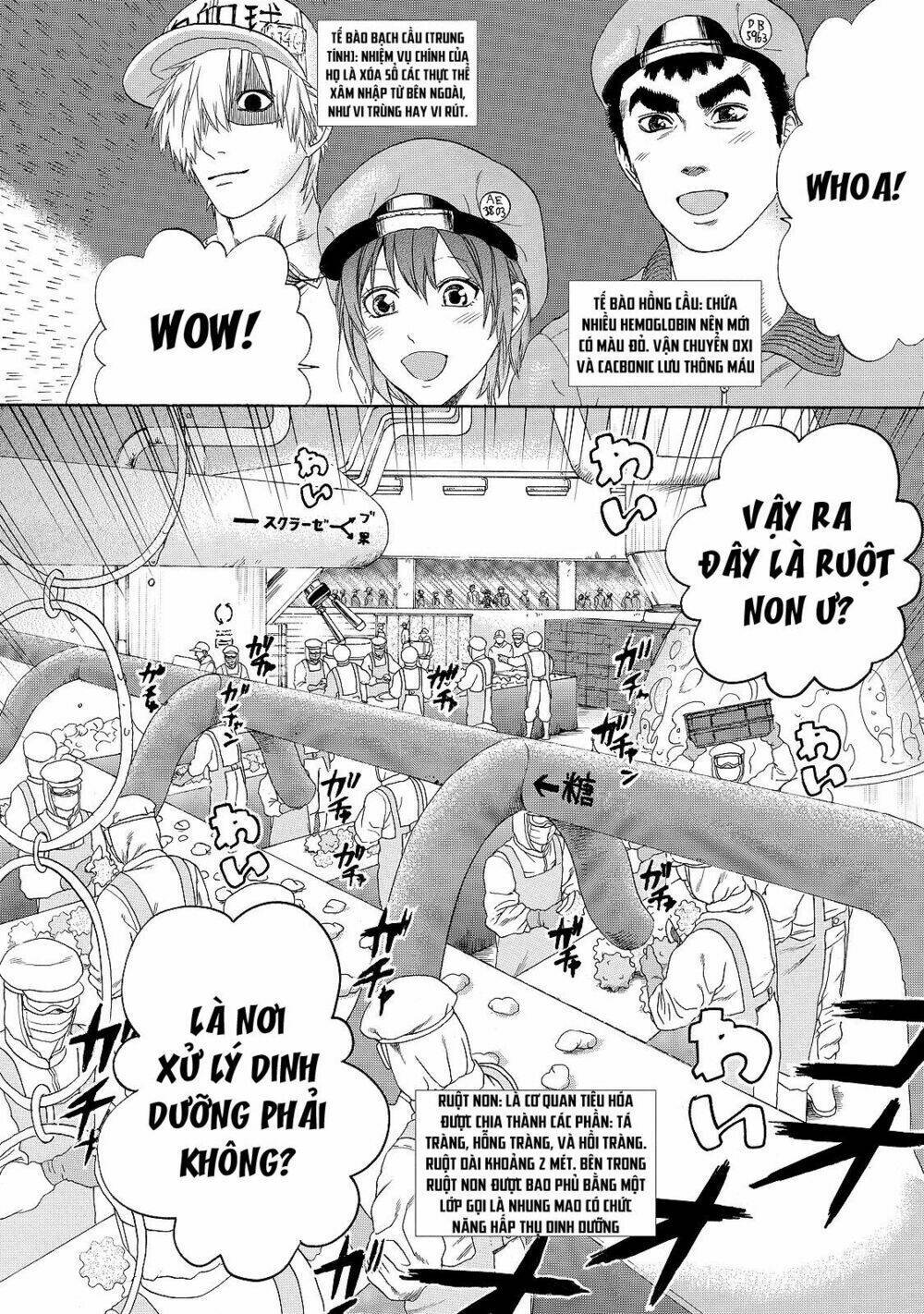 Hataraku Saibou ! Chapter 19 - Next Chapter 20