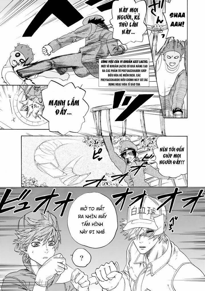 Hataraku Saibou ! Chapter 22 - Next Chapter 23