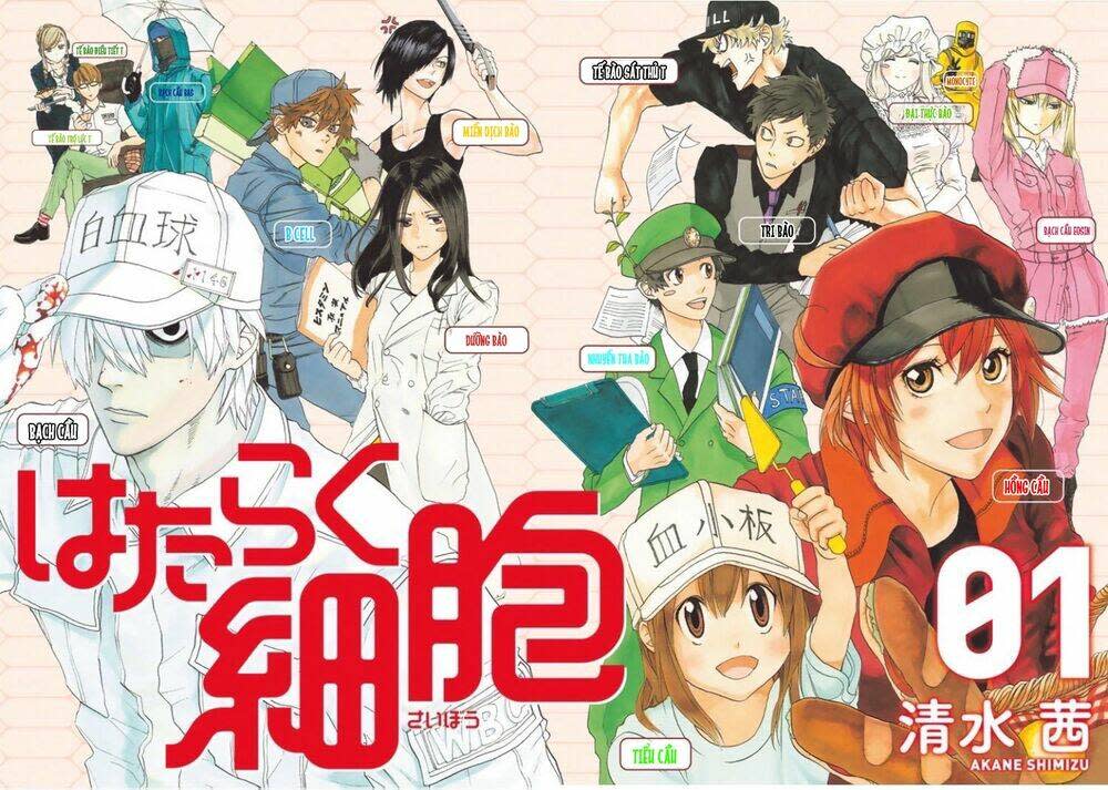 Hataraku Saibou ! Chapter 1: Khuẩn cầu phổi - Next Chapter 2: Dị ứng phấn hoa cây tuyết tùng